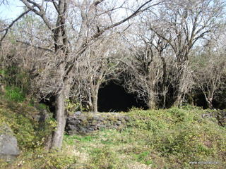conco di Liricio-24-03-2013 10-35-48